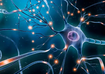 Accurately measure a neurodegeneration biomarker from blood samples